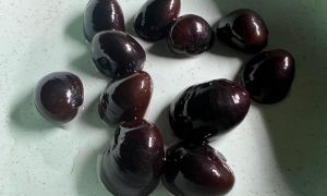 Black Racer Snail